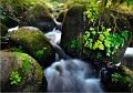 Paysage 25_09_11n03